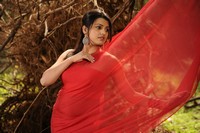 Tashu Kaushik Hot Saree Photos